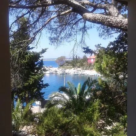 Milicic *